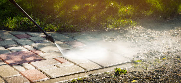 Best Fence Cleaning  in Venice, FL